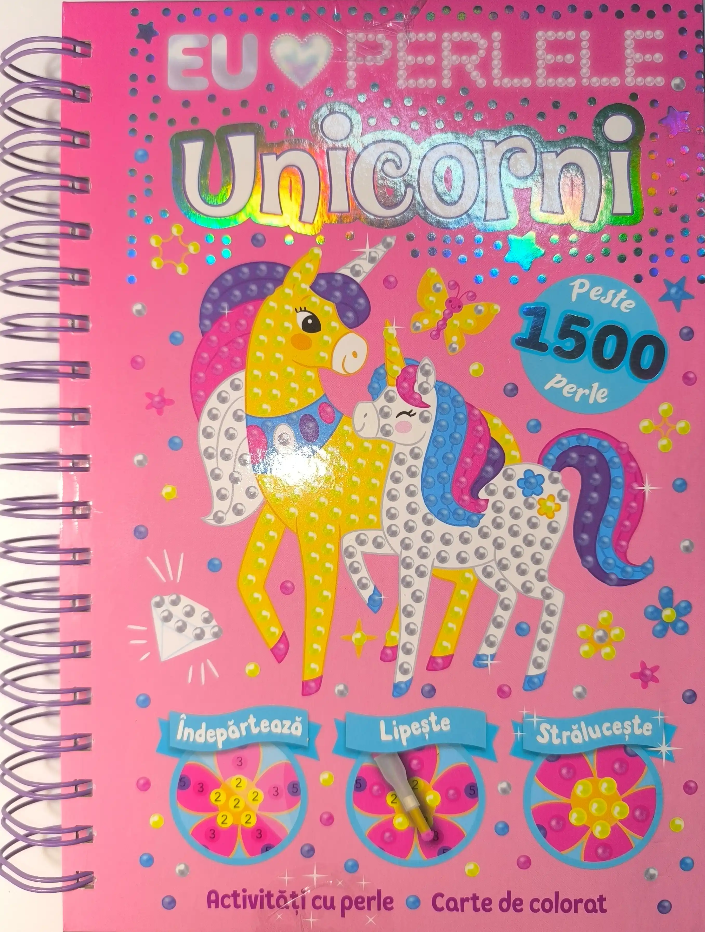 UNICORNI - ACTIVITATI