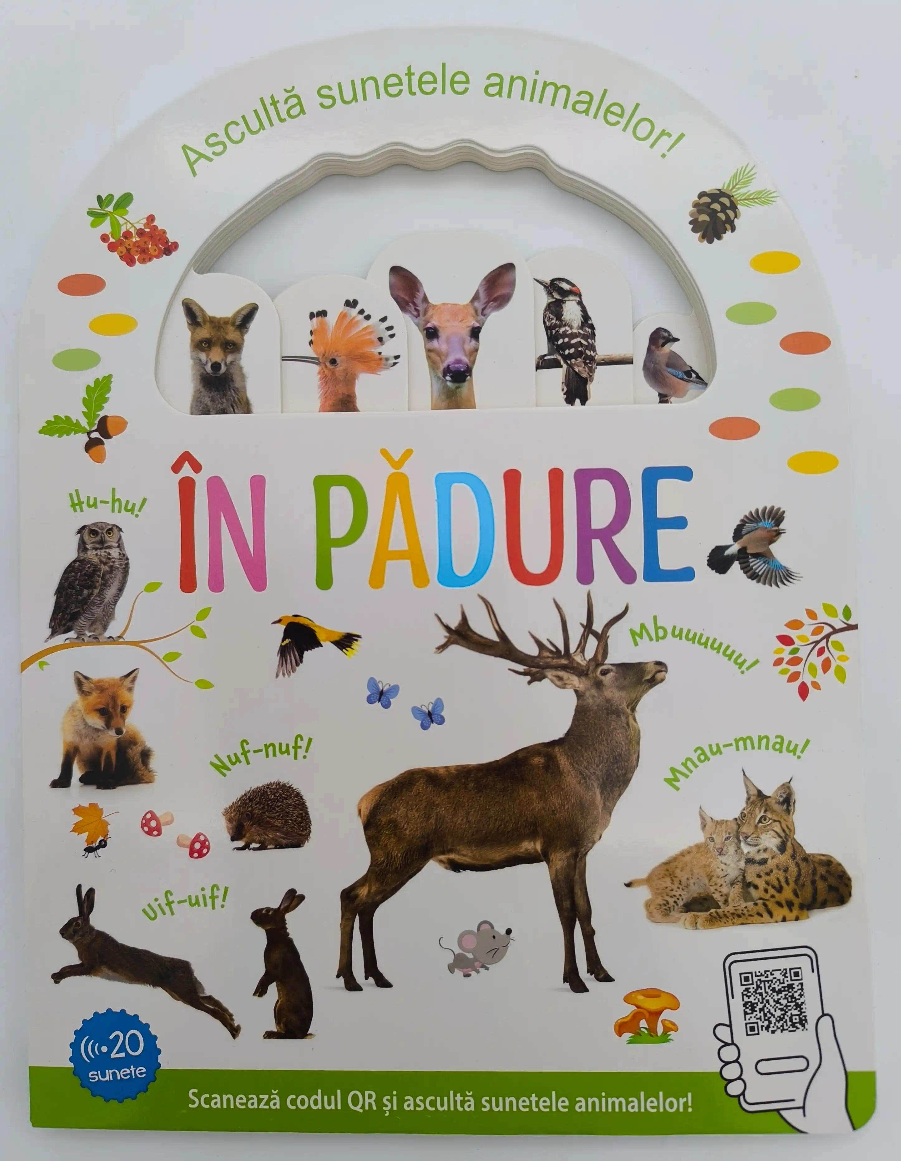 IN PADURE -ASCULTA SUNETELE ANIMALELOR