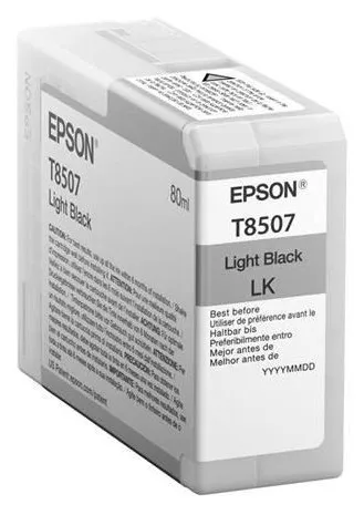 Ink Cartridge Epson T850700 Light Black