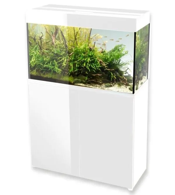 AQUAEL Acvariu GLOSSY ST 100 White
