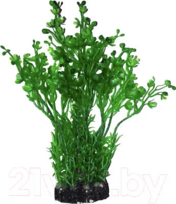Cumpara  Decorațiuni - AQUAEL Пластиковые растения Plastic Plant CP-..