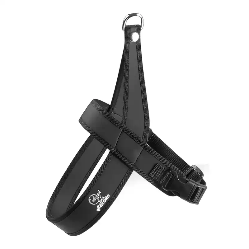 Шлейка нейлоновая CUSHY GO! MISURA 1 CM 30×33-43