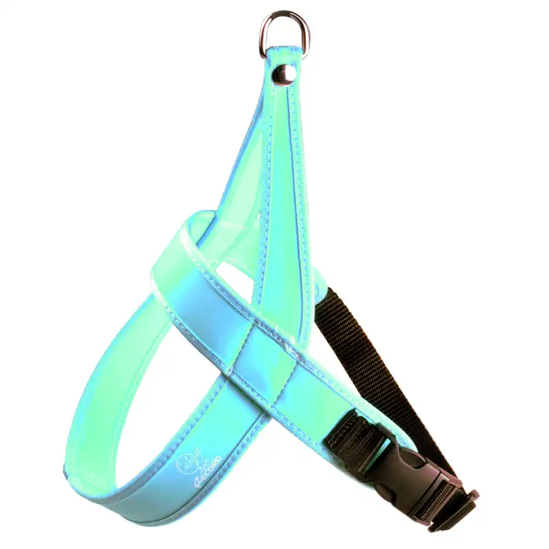 Шлейка нейлоновая CUSHY GO! MISURA 2 CM 35×40-50