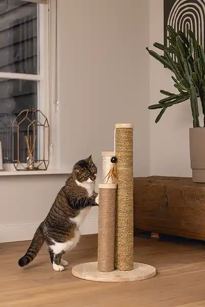 BEEZTEES DBL кошачий скребок WILLA 39.5×39.5×70 cm