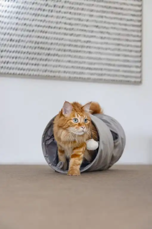BEEZTEES игровой туннель CYLLA Grey 65x25cm