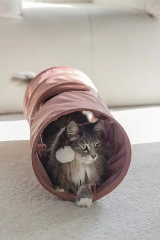 BEEZTEES игровой туннель CYLLA Pink 65x25cm