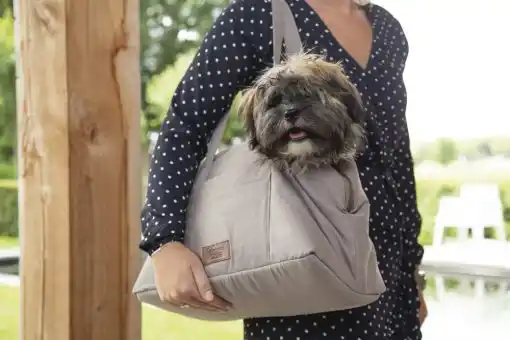 BEEZTEES geantă de transport BUNDU Beige 40x20x28