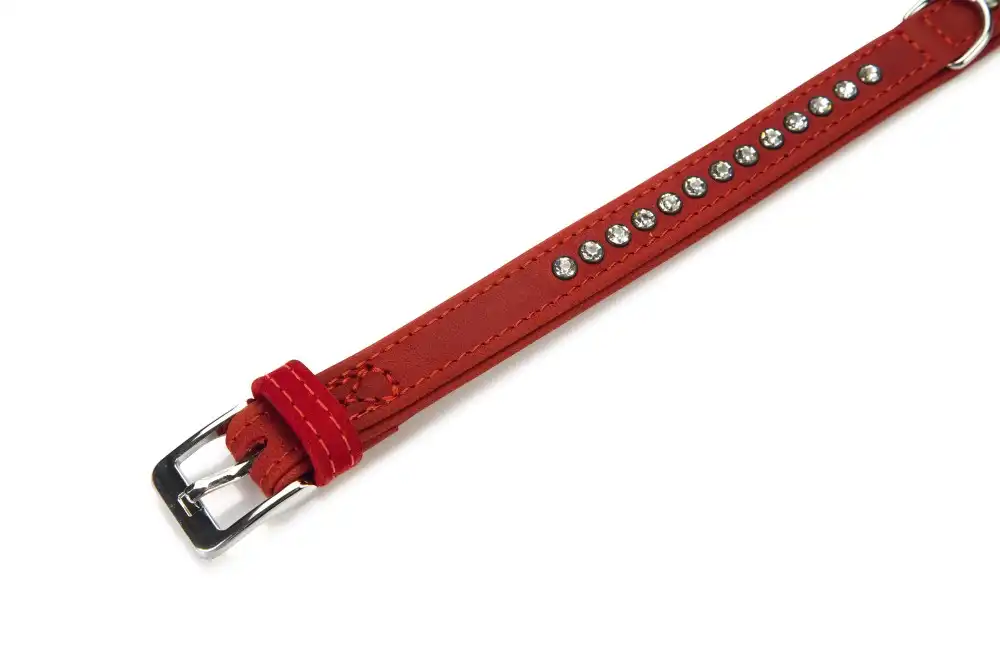 BEEZTEES ошейник кожаный BUFFALO Strass Red 24×10