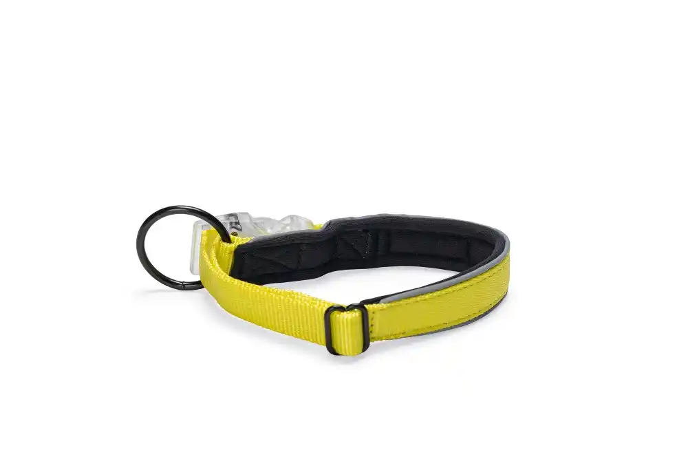 Beeztees ошейник светящийся Premium PARINCA Yellow 40×20