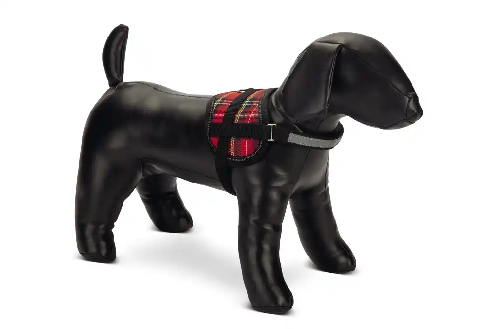 BEEZTEES Шлейка-мини SCOTCH Red 15×26-35cm