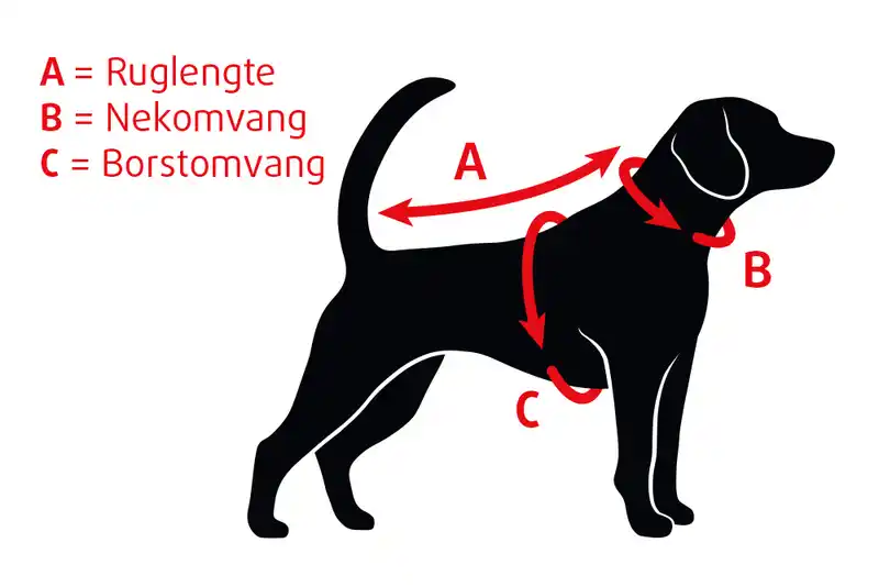 BEEZTEES Куртка CARO YELLOW 28