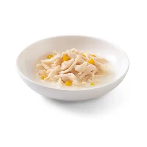 SCHESIR Cat can Chicken Fillets With Pumpkin 6x50gr