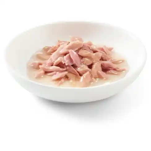 SCHESIR Cat Can Broth Sauce Tuna 70gr