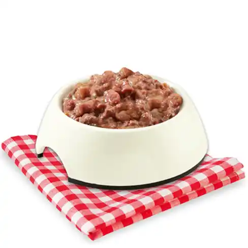 STUZZY DOG Can Monoprotein Chicken