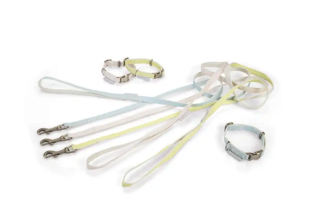 BEEZTEES Поводок + ошейник PUPPY SET TORI Blue