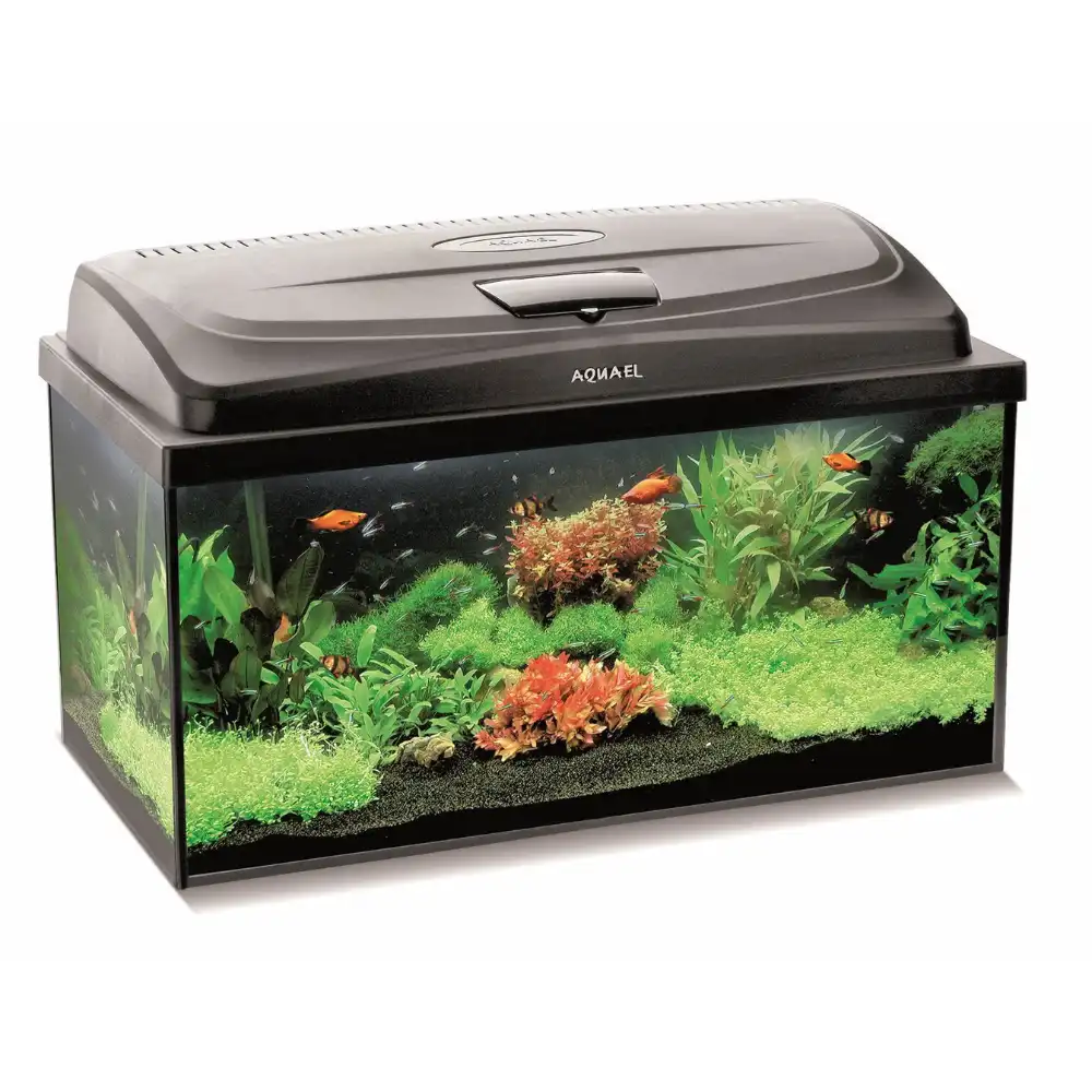 AQUAEL CLASSIC BOX SET 80 RECT.