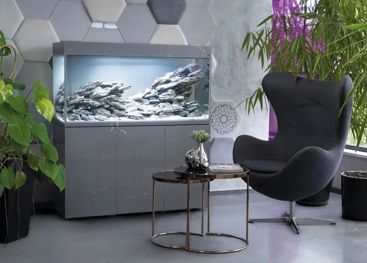 AQUAEL Aquarium Glossy ST 80  D&N Grey