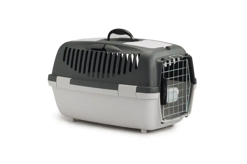 BEEZTEES colier reflectorizant cu lumină 57x30