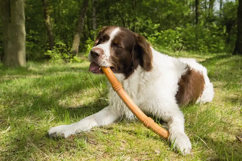 BEEZTEES игрушка-палка резиновая SUMO FIT STICK green