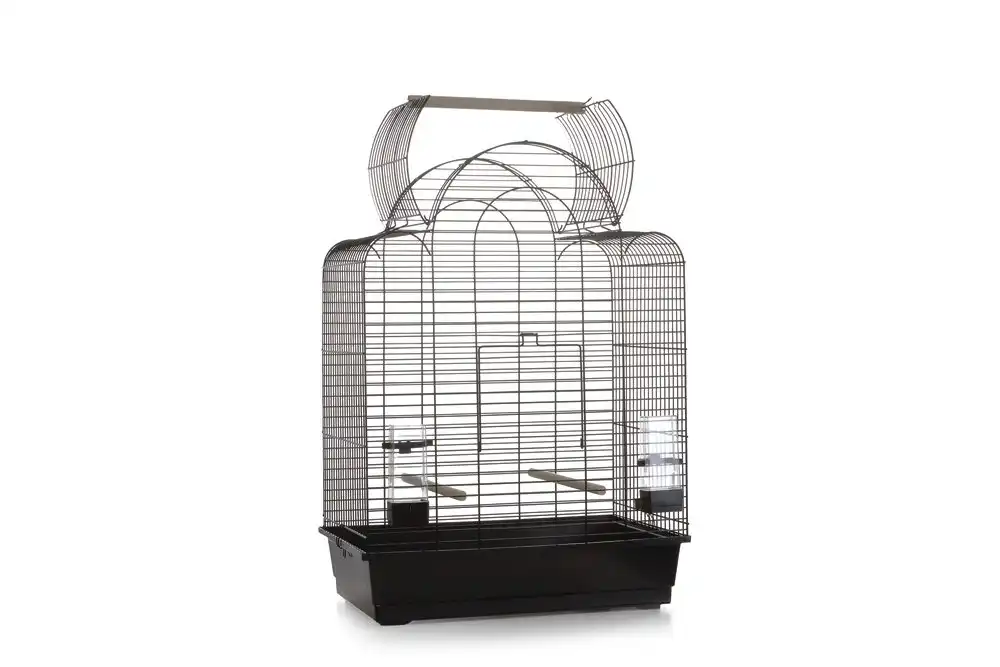 Cusca pentru pasari Big Sonia open