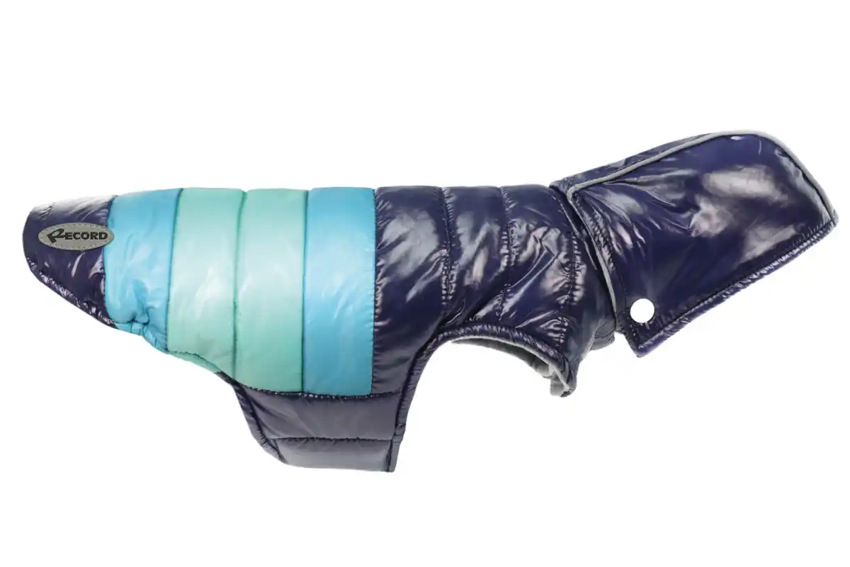 Record Geacă RAIN BLUE XXS