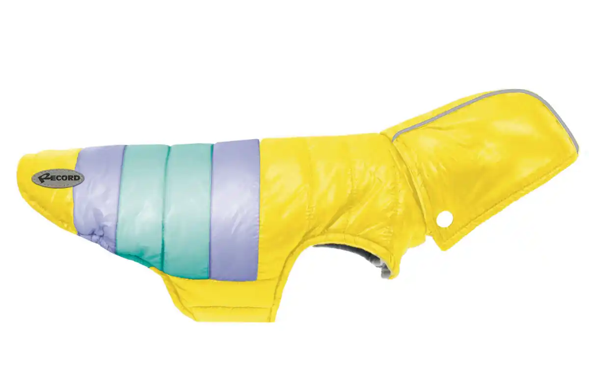 Record Geacă RAIN YELLOW S