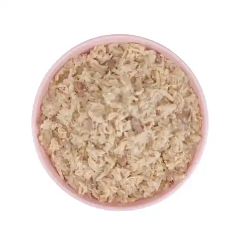 SCHESIR BABY Cat can Wholefood Chicken With Salmon 70gr