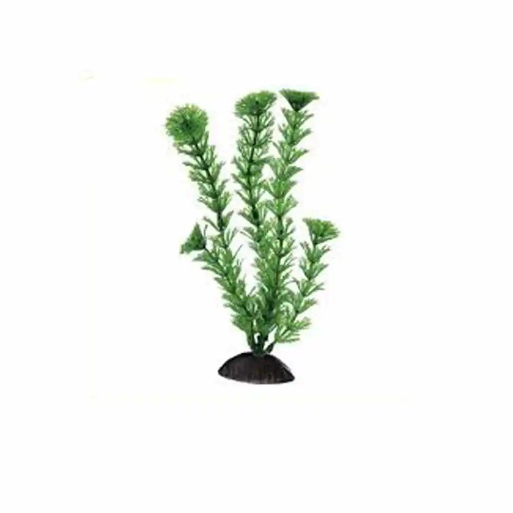 FERPLAST пластик. растение CABOMBA 12" BLU 9061