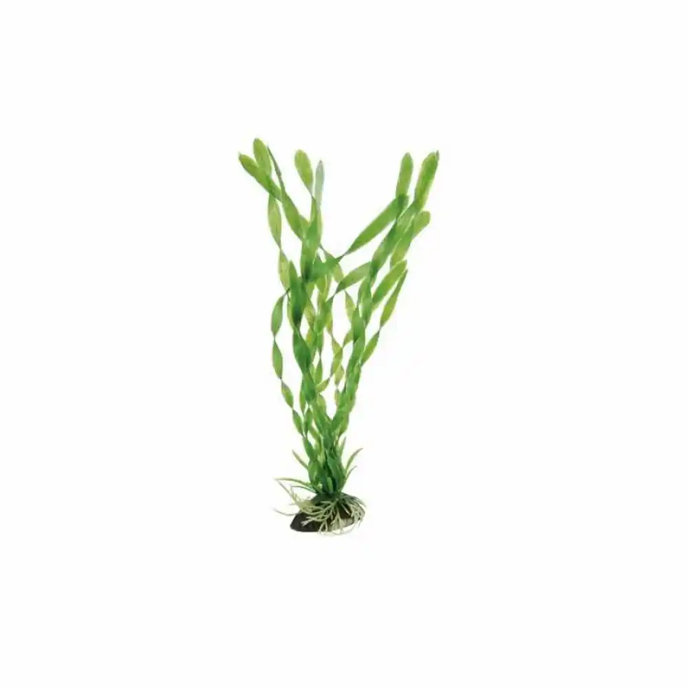 Plantă plastică FERPLAST VALLISNERIA