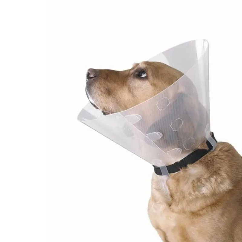 Coliere veterinare