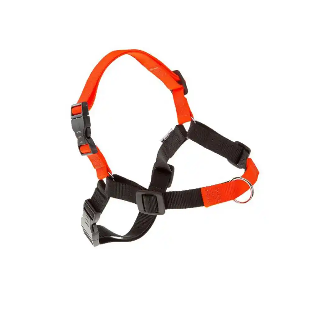 Ferplast Ham COACH P L-XL portocaliu