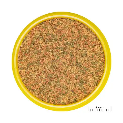 JBL PRONOVO BEL GRANO