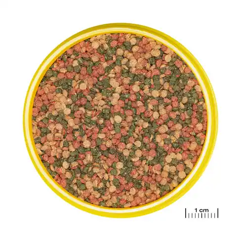 JBL PRONOVO BEL GRANO