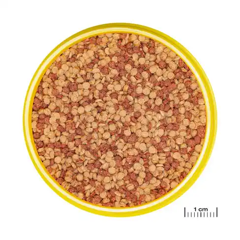 JBL PRONOVO COLOR GRANO