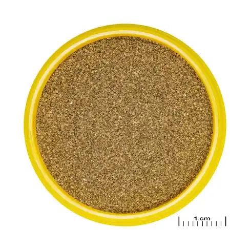 JBL PRONOVO NEON GRANO