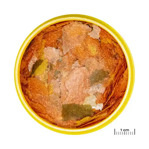 JBL PRONOVO TANGANYIKA FLAKES