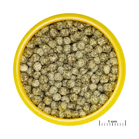 JBL PRONOVO RED GRANO