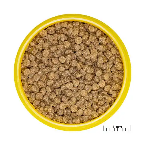 JBL PRONOVO FANTAIL GRANO