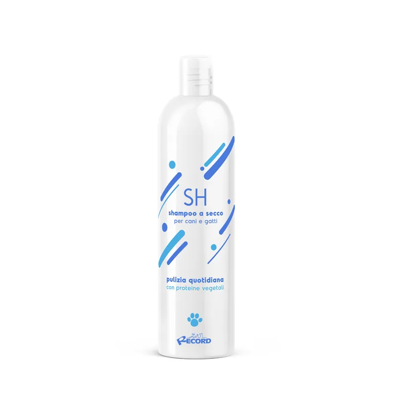 Șampon uscat RECORD ALL 125ML