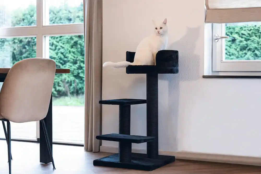 BEEZTEES Кошачий скребок SERPA FIGO Black 50x50x92cm