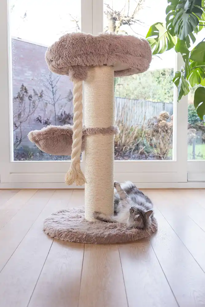 BEEZTEES scrubber pentru pisici RAMIRO Taupe 70x70x120cm