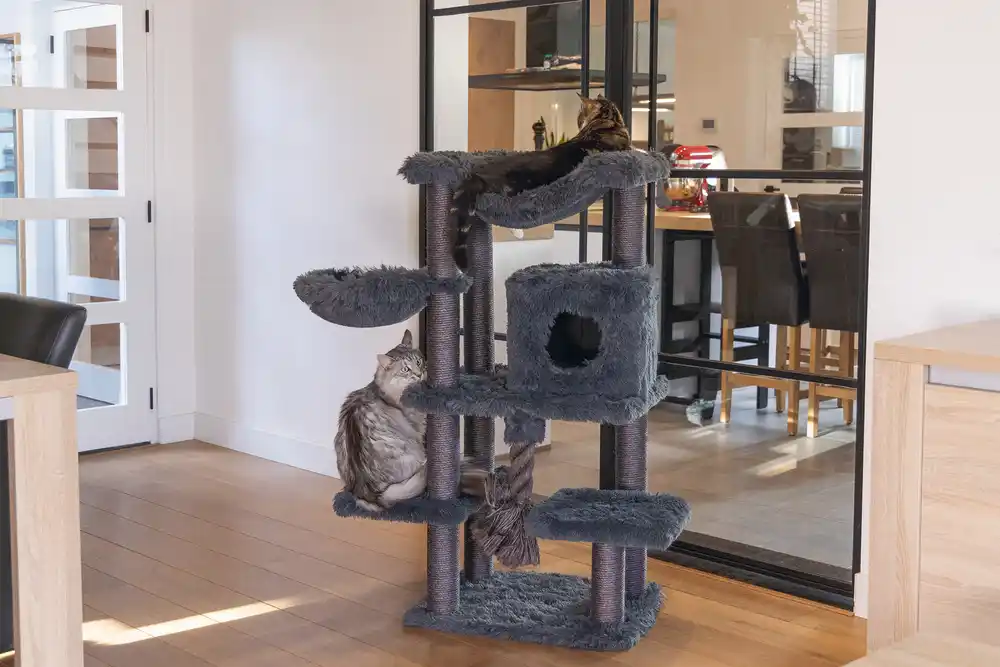 BEEZTEES scrubber pentru pisici DUCO Grey 60x45x126cm