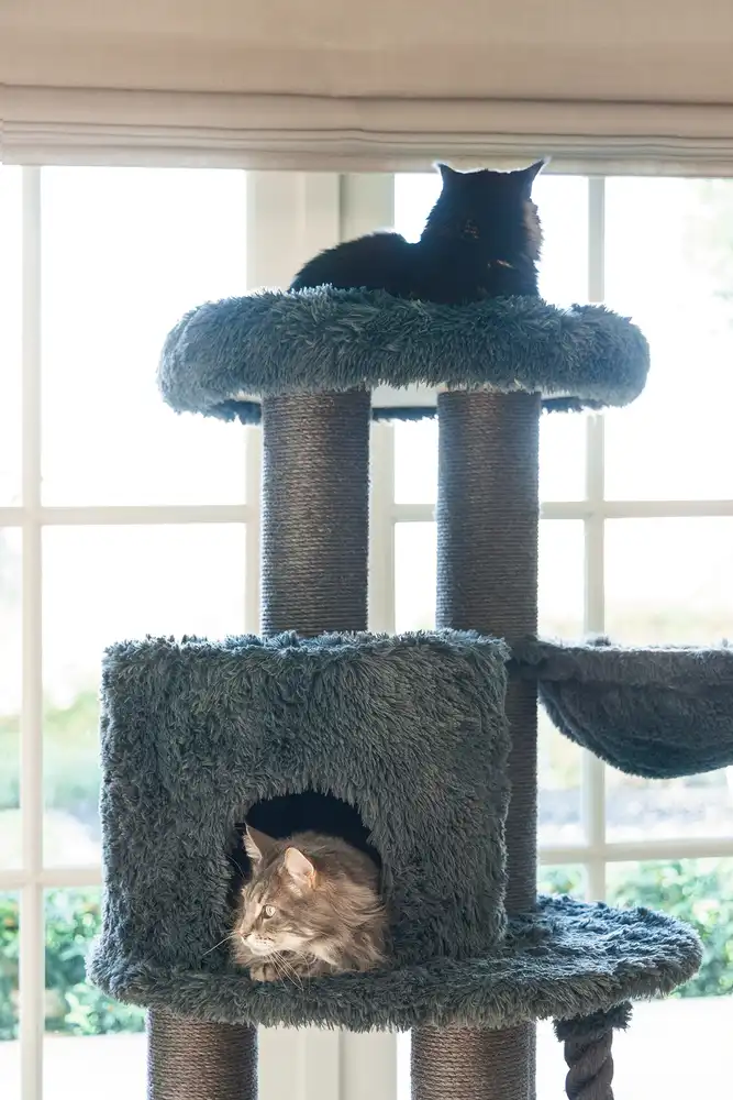 BEEZTEES кошачий скребок KALEO Grey 75x75x166cm