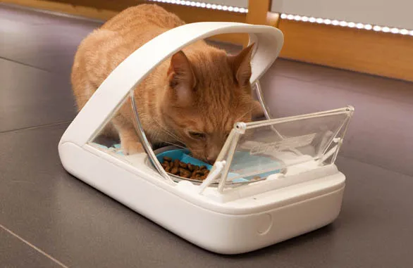 SURE FLAP Hrănitoare automată pentru animale cu microcip