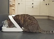 SURE FLAP Hrănitoare automată pentru animale cu microcip