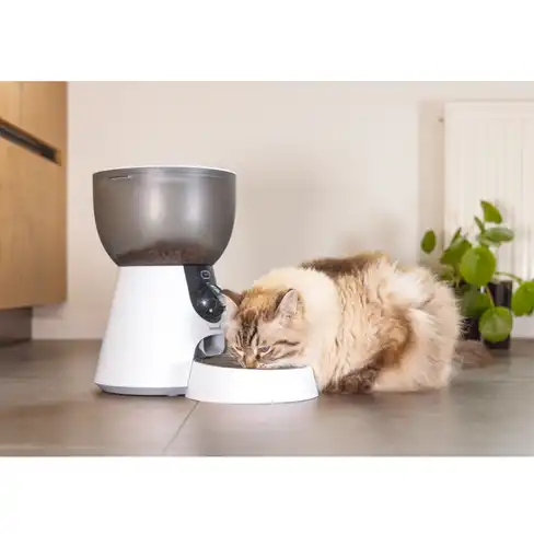 BEEZTEES DOG Hrănitor Inteligent pentru pisici cu cameră Smart Feeder Cam White