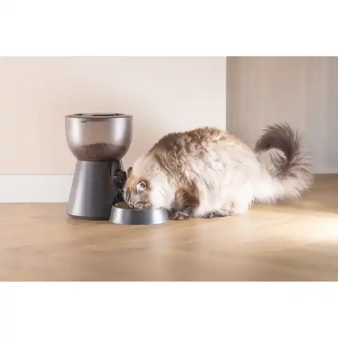 BEEZTEES Hrănitor Inteligent pentru pisici cu cameră Smart Feeder Cam Anthracite