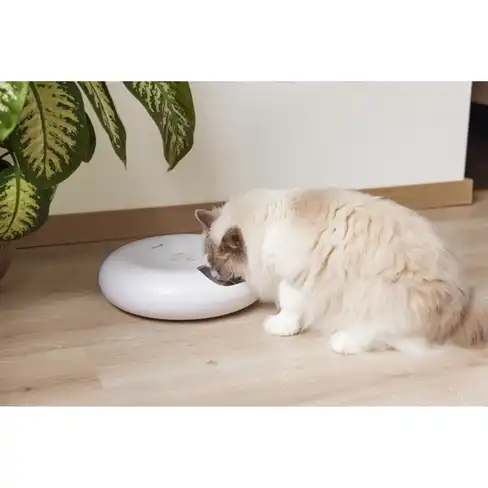 BEEZTEES Dog Hrănitor automat pentru pisici ONNI White