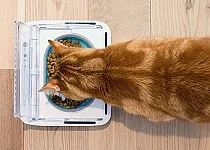 Bol automat sigilat pentru animale de companie SURE FLAP