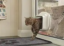 SURE FLAP DualScan Puf pentru pisică Alb